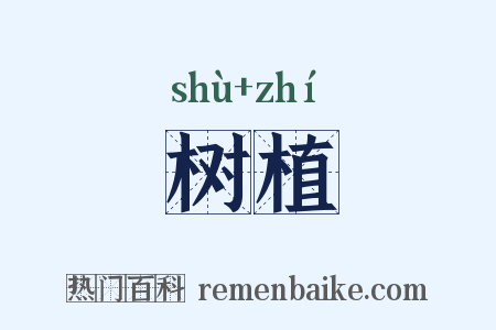 树植是什么意思的图片